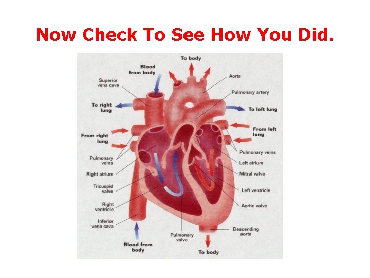 Now Check To See How You Did. Now Check To See How You Did.