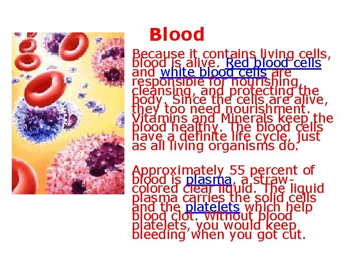 Blood Because it contains living cells, blood is alive. Red blood cells and white Blood Because it contains living cells, blood is alive. Red blood cells and white