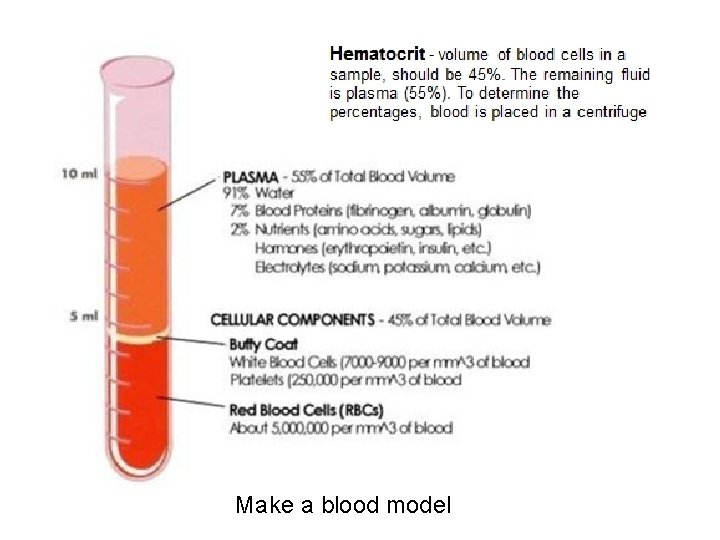 Make a blood model Make a blood model