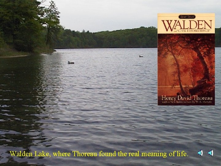 Walden Lake, where Thoreau found the real meaning of life. 