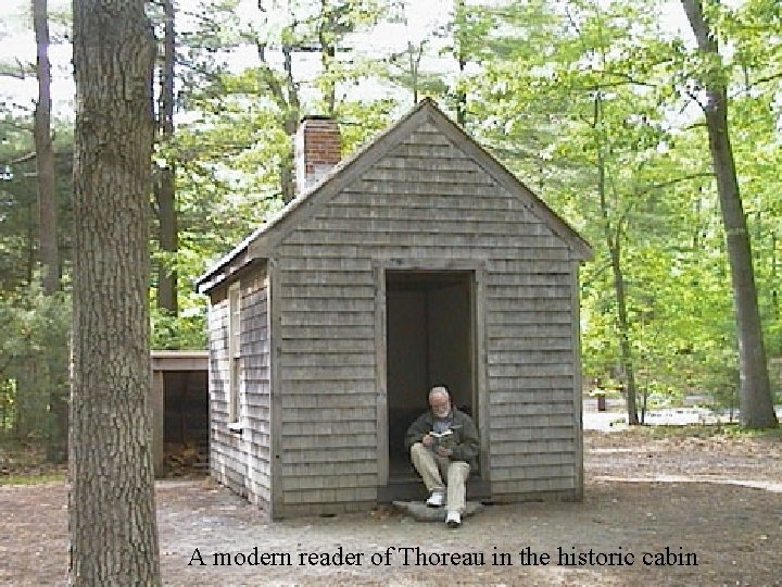 A modern reader of Thoreau in the historic cabin 