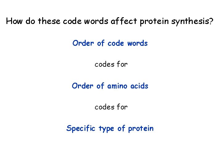 How do these code words affect protein synthesis? Order of code words codes for