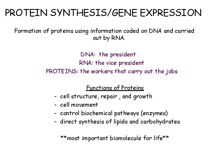 PROTEIN SYNTHESIS/GENE EXPRESSION Formation of proteins using information coded on DNA and carried out