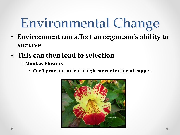 Environmental Change • Environment can affect an organism’s ability to survive • This can