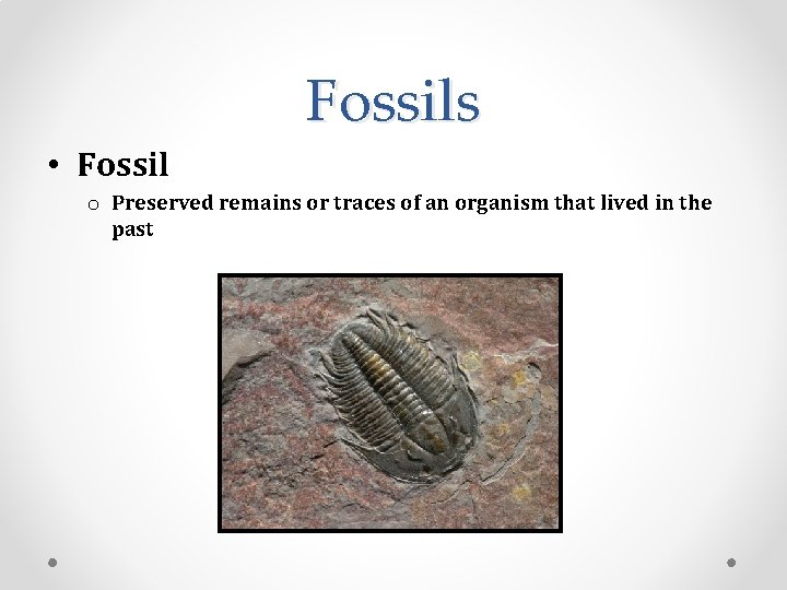 Fossils • Fossil o Preserved remains or traces of an organism that lived in