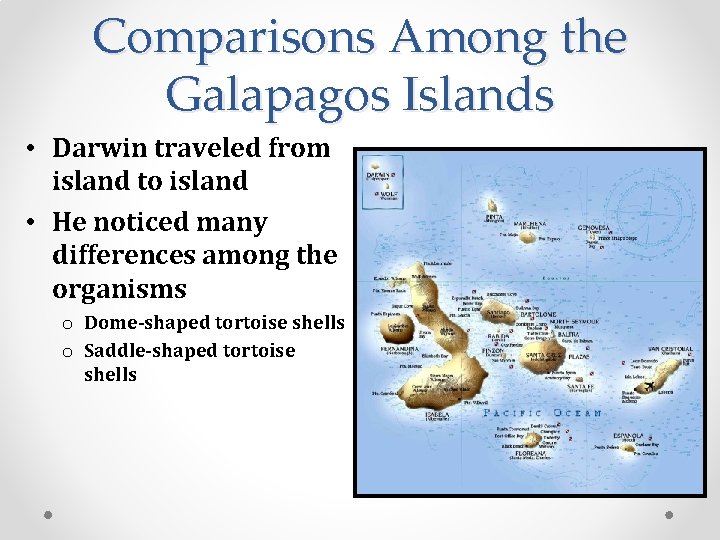 Comparisons Among the Galapagos Islands • Darwin traveled from island to island • He