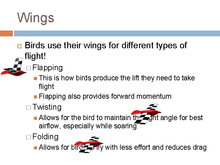 Wings Birds use their wings for different types of flight! � Flapping This is