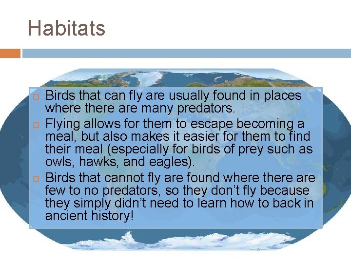 Habitats Birds that can fly are usually found in places where there are many