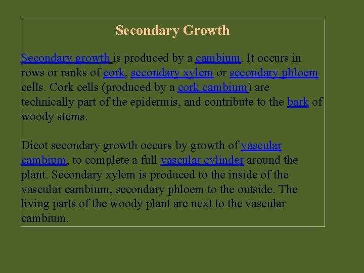 Secondary Growth Secondary growth is produced by a cambium. It occurs in rows or