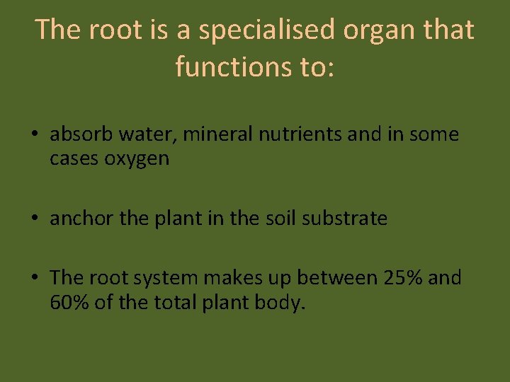 The root is a specialised organ that functions to: • absorb water, mineral nutrients