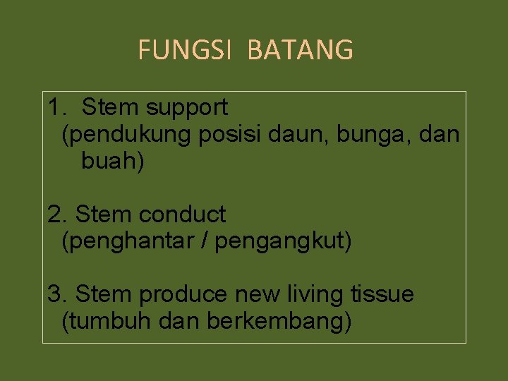 FUNGSI BATANG 1. Stem support (pendukung posisi daun, bunga, dan buah) 2. Stem conduct