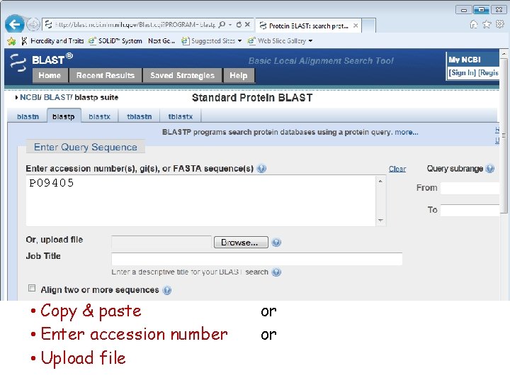 P 09405 • Copy & paste • Enter accession number • Upload file or