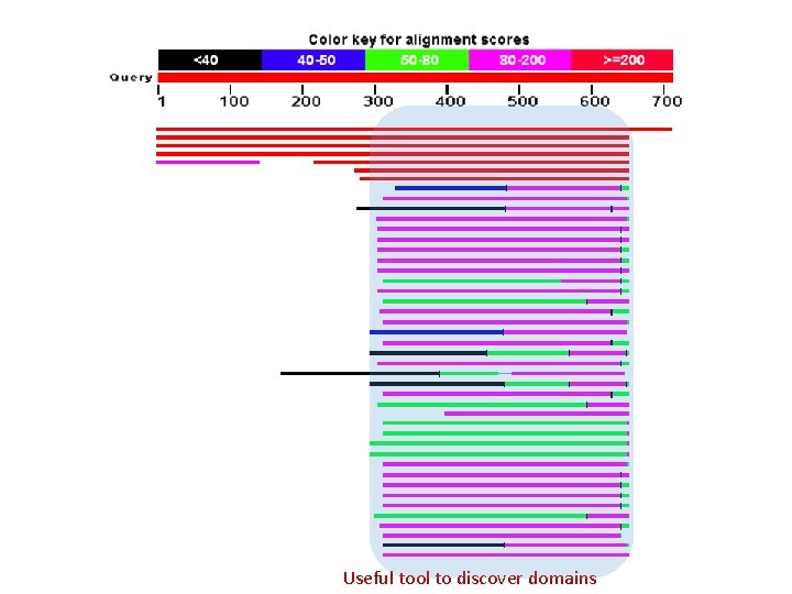 Useful tool to discover domains 