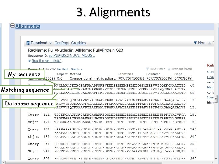 3. Alignments My sequence Matching sequence Database sequence 