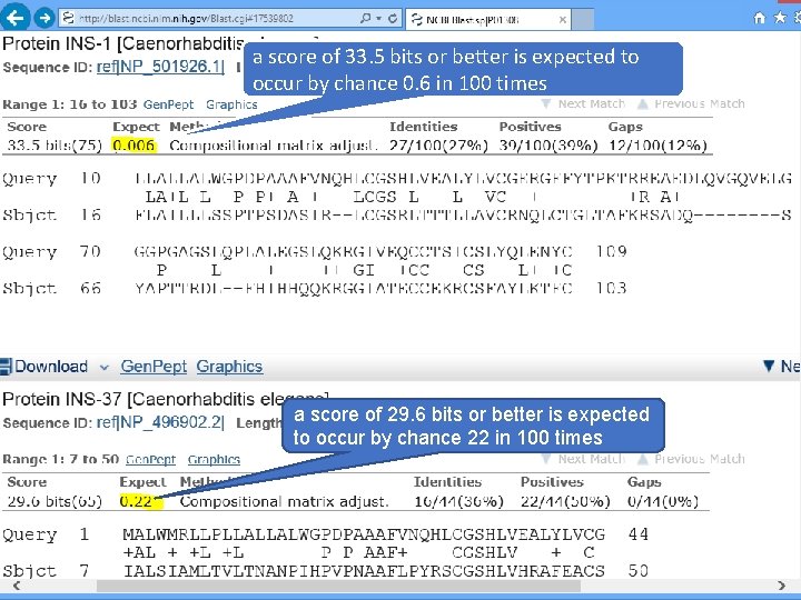 a score of 33. 5 bits or better is expected to occur by chance