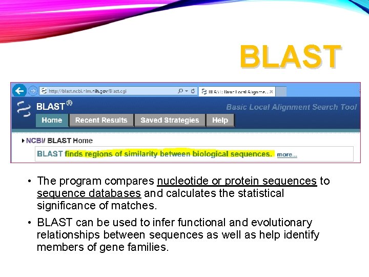 BLAST • The program compares nucleotide or protein sequences to sequence databases and calculates