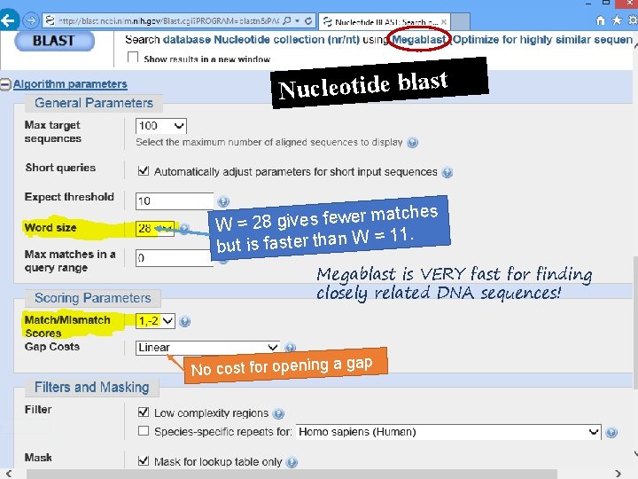 Nucleotide blast er matches w fe s e iv g 8 2 = W