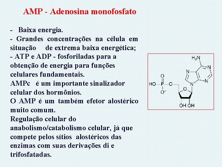 AMP - Adenosina monofosfato - Baixa energia. - Grandes concentrações na célula em situação