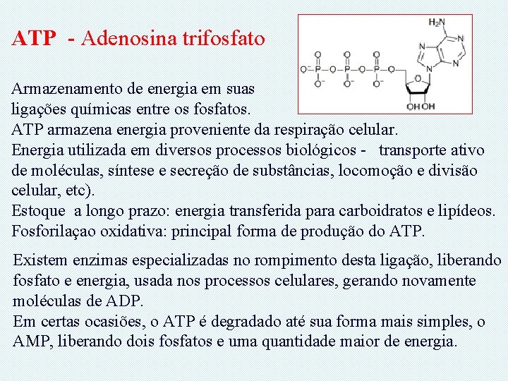 ATP - Adenosina trifosfato Armazenamento de energia em suas ligações químicas entre os fosfatos.