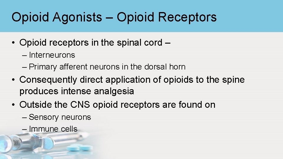 Opioid Agonists – Opioid Receptors • Opioid receptors in the spinal cord – –