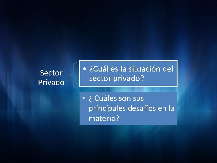 Sector Privado • ¿Cuál es la situación del sector privado? • ¿ Cuáles son