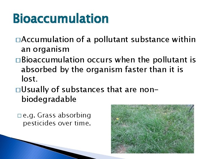 Bioaccumulation � Accumulation of a pollutant substance within an organism � Bioaccumulation occurs when