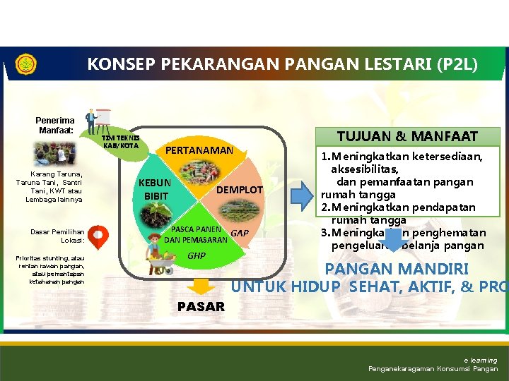 KONSEP PEKARANGAN PANGAN LESTARI (P 2 L) Penerima Manfaat: Karang Taruna, Taruna Tani, Santri