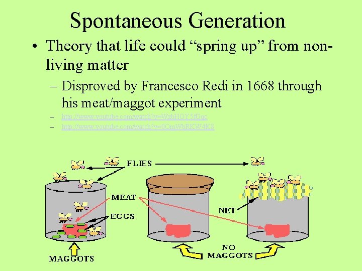 Characteristics of Living Things By the end of