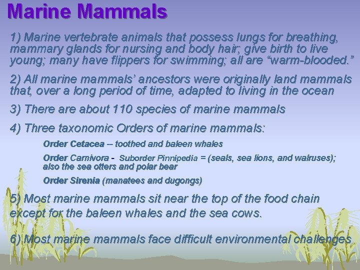 Marine Mammals 1) Marine vertebrate animals that possess lungs for breathing, mammary glands for