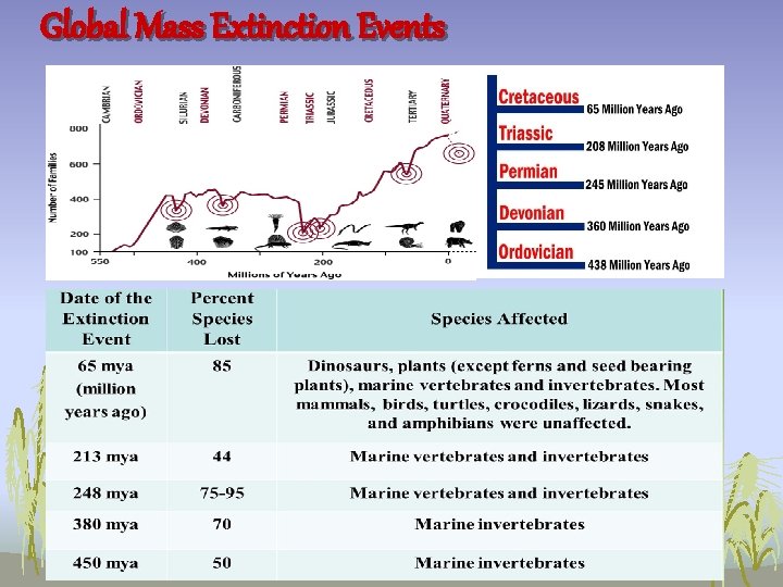 Global Mass Extinction Events 
