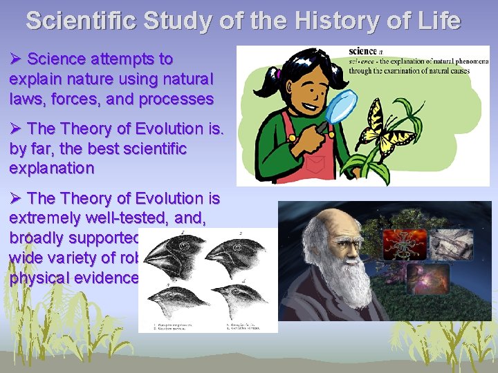 Scientific Study of the History of Life Ø Science attempts to explain nature using