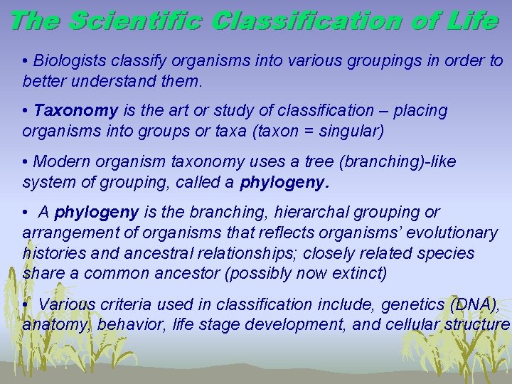 The Scientific Classification of Life • Biologists classify organisms into various groupings in order