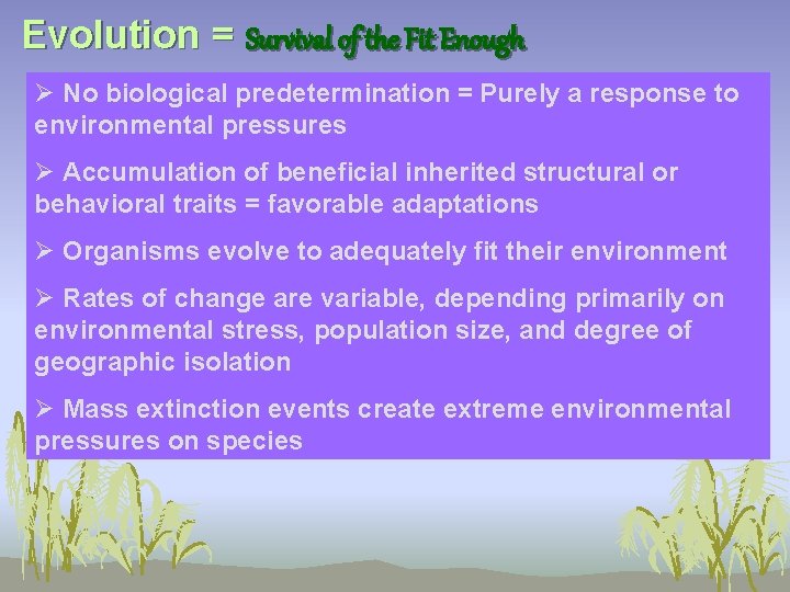 Evolution = Survival of the Fit Enough Ø No biological predetermination = Purely a