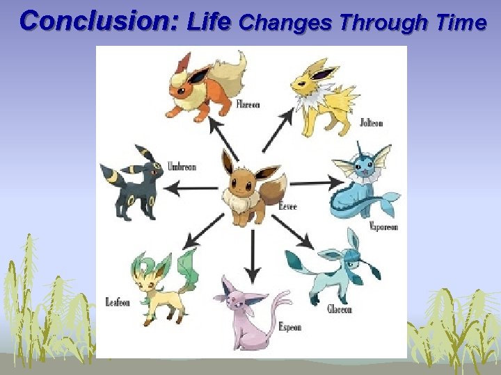 Conclusion: Life Changes Through Time 