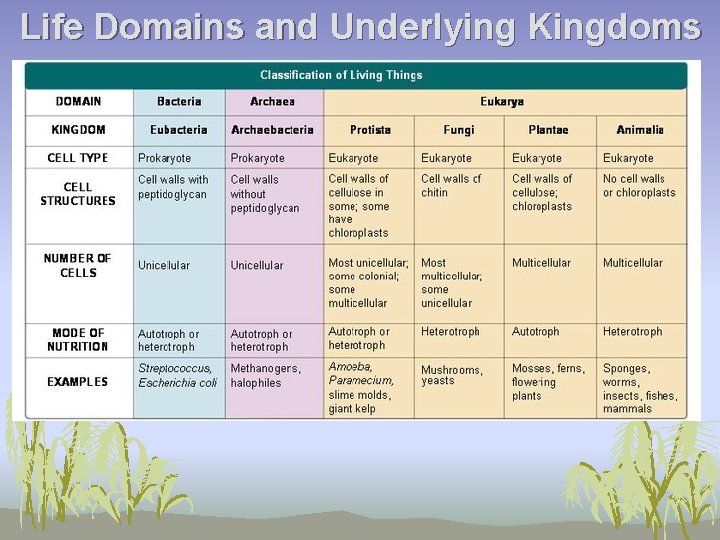 Life Domains and Underlying Kingdoms 