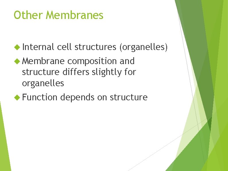 Other Membranes Internal cell structures (organelles) Membrane composition and structure differs slightly for organelles
