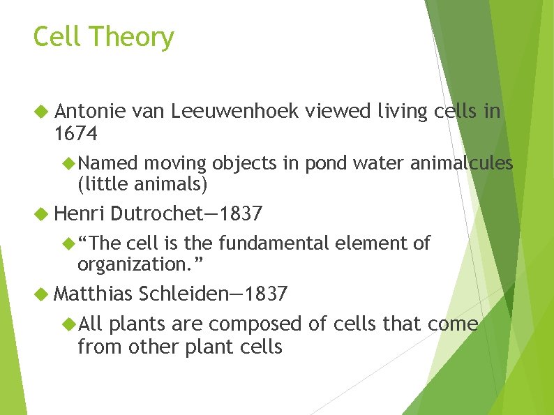 Cell Theory Antonie 1674 van Leeuwenhoek viewed living cells in Named moving objects in