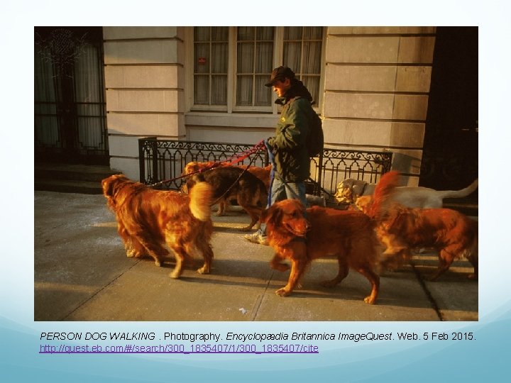 PERSON DOG WALKING. Photography. Encyclopædia Britannica Image. Quest. Web. 5 Feb 2015. http: //quest.