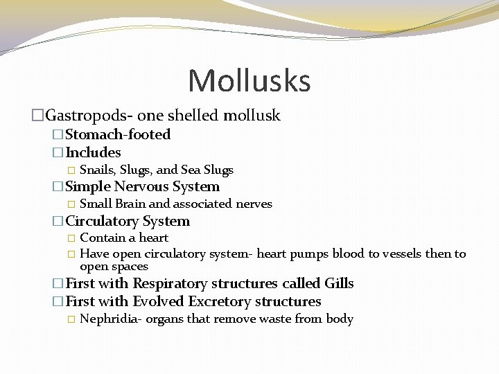 Mollusks �Gastropods- one shelled mollusk �Stomach-footed �Includes � Snails, Slugs, and Sea Slugs �Simple