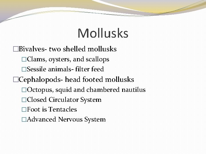 Mollusks �Bivalves- two shelled mollusks �Clams, oysters, and scallops �Sessile animals- filter feed �Cephalopods-