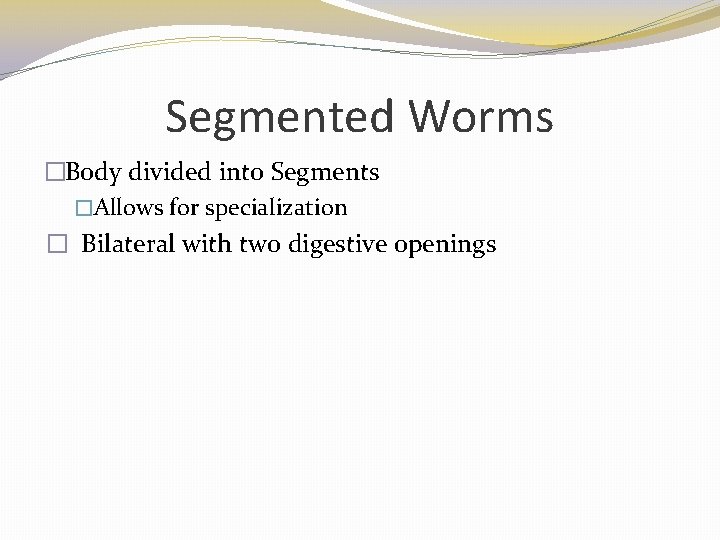 Segmented Worms �Body divided into Segments �Allows for specialization � Bilateral with two digestive