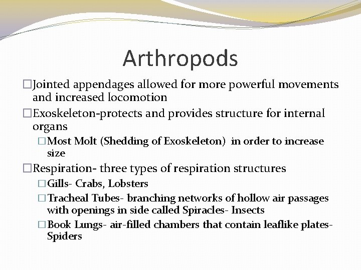 Arthropods �Jointed appendages allowed for more powerful movements and increased locomotion �Exoskeleton-protects and provides