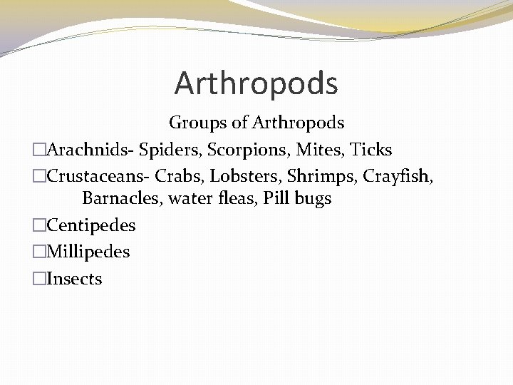 Arthropods Groups of Arthropods �Arachnids- Spiders, Scorpions, Mites, Ticks �Crustaceans- Crabs, Lobsters, Shrimps, Crayfish,