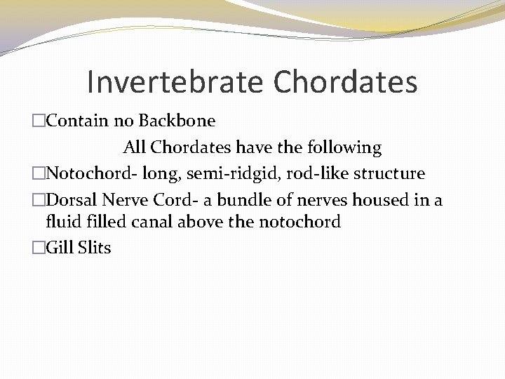 Invertebrate Chordates �Contain no Backbone All Chordates have the following �Notochord- long, semi-ridgid, rod-like