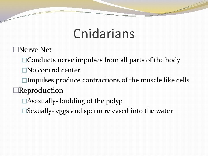 Cnidarians �Nerve Net �Conducts nerve impulses from all parts of the body �No control