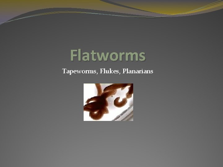 Flatworms Tapeworms, Flukes, Planarians 