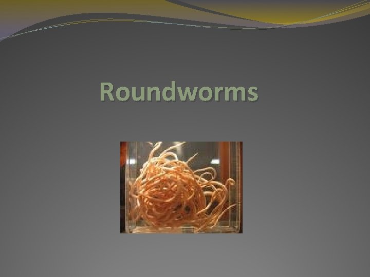 Roundworms 