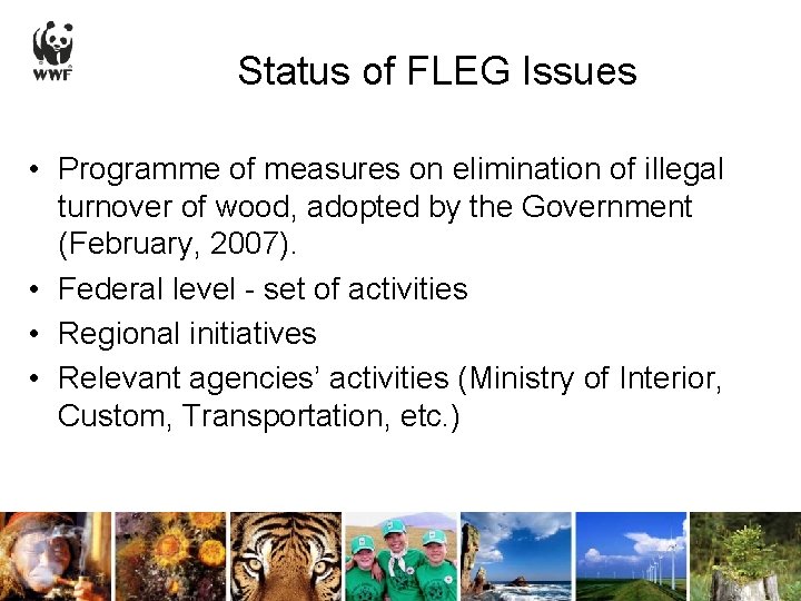 Status of FLEG Issues • Programme of measures on elimination of illegal turnover of