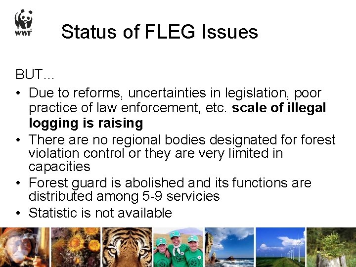 Status of FLEG Issues BUT… • Due to reforms, uncertainties in legislation, poor practice