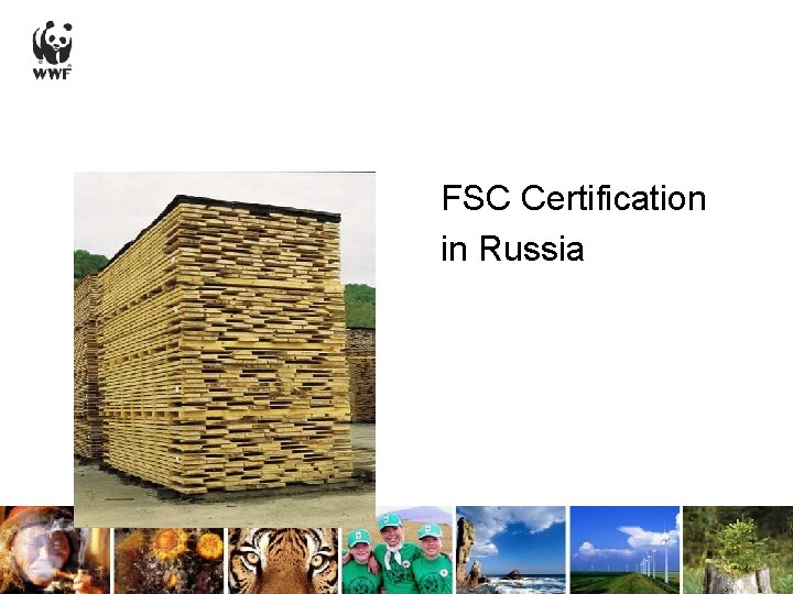 FSC Certification in Russia 